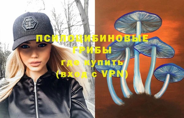 гидропоника Новодвинск