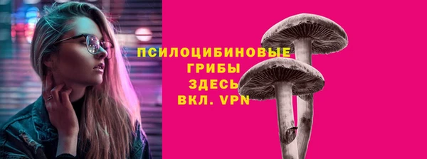 гидропоника Новодвинск