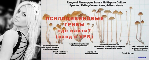 гашишное масло Новозыбков