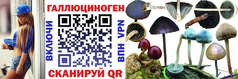купить наркотики цена  Олонец  Галлюциногенные грибы MAGIC MUSHROOMS 