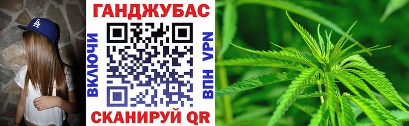 закладки  Олонец  Каннабис семена 